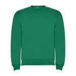 Trui van katoen en polyester 280 g/m² Roly Direct Clasica kleur smaragdgroen  tweede weergave