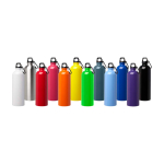 Gerecyclede RVS fles met karabijnhaak 750ml kleur wit tweede weergave meerdere kleuren