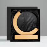 Trofee van hout en glas met wereldbol-design en geschenkdoos