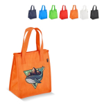 Kleine koeltas om mee te nemen met aluminium voering