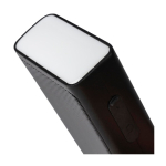 Draagbare speaker met COB LED-zaklamp en draaglus tiende weergave