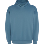 Unisex oversized hoodie met capuchon 320 g/m2 Roly Direct Otto kleur grijsachtig blauw eerste gebruiksweergave