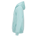 Unisex hoodie van biologisch katoen 300 g/m² kleur lichtgroen derde weergave