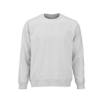 Unisex sweater kleur lichtgrijs vooraanzicht