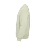 Unisex sweater kleur pastel groen derde weergave