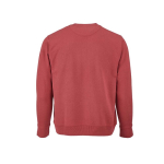 Unisex hoodie van biologisch katoen met French terry 300 g/m² Capri kleur intense munt achter weergave