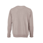 Unisex hoodie van biologisch katoen met French terry 300 g/m² Capri kleur taupe grijs achter weergave