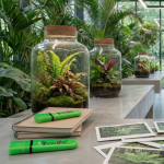 Fluorescerende markeerstift met inkt van natuurlijke oorsprong BIC®