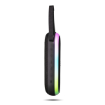 Draagbare speaker met handgreep en RGB-verlichting in 8 kleuren 30 W kleur zwart vierde weergave