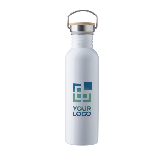 Enkelwandige stalen fles met deksel en handvat, 700ml Clip Neck