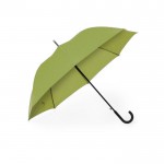 XL automatische paraplu met 8 panelen kleur groen tweede weergave