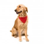 Bandana halsband met logo voor huisdieren kleur rood zesde weergave