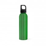 Gerecyclede aluminium fles met karabijnhaakdop 690ml kleur groen