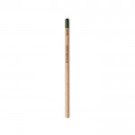 Eco potlood van BIC® met zaadjes van een spar weergave met jouw bedrukking