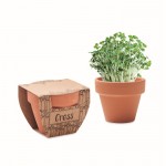 Terracotta pot met waterkerszaden en grondtablet inbegrepen kleur hout