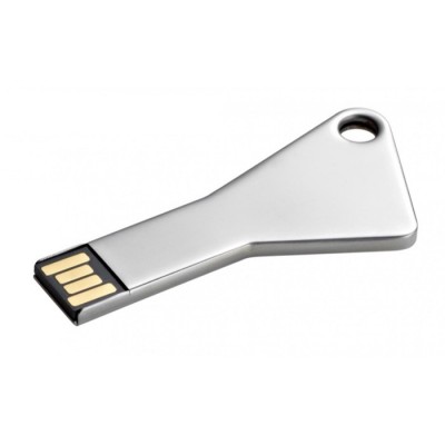 Sleutelvormige USB met logo