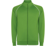Unisex sporthoodie met hoge kraag 210g/m2 Roly Direct Valier kleur groen