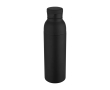 Dubbelwandige RVS thermosfles 650ml kleur zwart