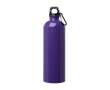 Gerecyclede RVS fles met karabijnhaak 750ml kleur paars