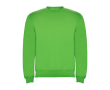 Trui van katoen en polyester 280 g/m² Roly Direct Clasica kleur lichtgroen
