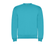 Trui van katoen en polyester 280 g/m² Roly Direct Clasica kleur turkoois