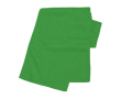 Polyester fleece sjaal met logo bedrukking of borduring Polar kleur groen