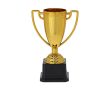 Gouden trofee met handvatten aan de zijkanten op een zwarte basis kleur goud