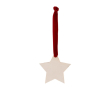 Kerstster ornament met fluwelen lint kleur rood