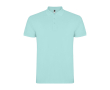 Heren poloshirt van piqué katoen 200 g/m² Roly Direct Star kleur mintgroen