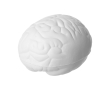 Hersenvormige anti-stressbal kleur wit