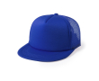 Polyester pet met platte klep kleur blauw