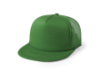 Polyester pet met platte klep kleur groen