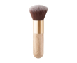 Make-up borstel om aan klanten te geven kleur naturel
