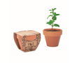 Terracotta pot met muntzaadjes en grondtablet inbegrepen kleur hout