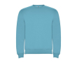 Trui voor kinderen van katoen en polyester 280 g/m2 Roly kleur turkoois