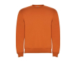 Trui voor kinderen van katoen en polyester 280 g/m2 Roly kleur oranje