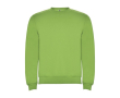 Trui voor kinderen van katoen en polyester 280 g/m2 Roly kleur limoen groen