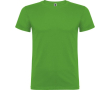 T-shirt van 100% katoen voor heren 155 g/m2 Roly Beagle kleur gras groen