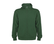 Unisex sweater van katoen en polyester met capuchon 280 g/m2 Roly kleur groene fles