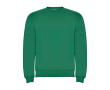 Trui voor kinderen van katoen en polyester 280 g/m2 Roly kleur groen