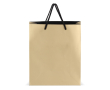 Papieren cadeautas met hengsels en zwarte binnenzijde 24x10x30 cm kleur goud