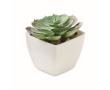 Mini kunstplant van PP in de vorm van een echeveria-succulent kleur wit