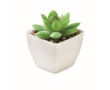 Mini kunstplant van PP in decoratieve vetplantstijl kleur wit