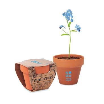 Terracotta pot met vergeet-mij-nietzaad