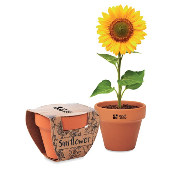 Pot met zonnebloemzaad om te bedrukken