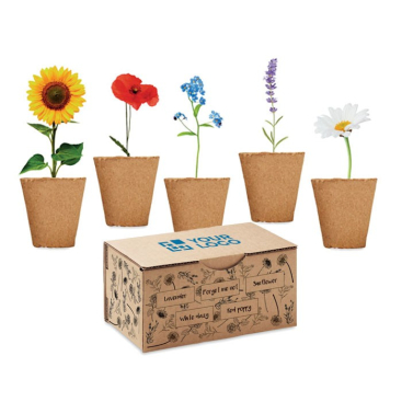 Bloemenkweekset met 5 soorten bloemen