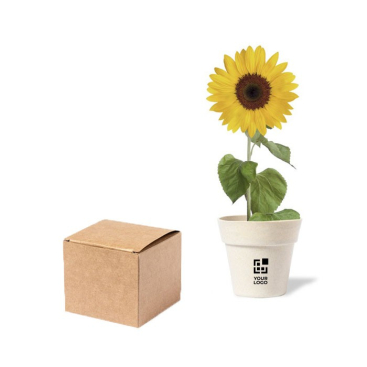 Biologisch afbreekbare zonnebloemzaadplanter