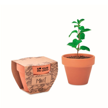 Terracotta pot met muntzaad en aardetablet