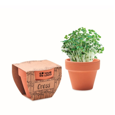 Terracotta pot met waterkerszaden en grondtablet inbegrepen