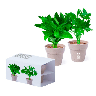 Set van 2 geschenkpotten met munt- en peterseliezaad